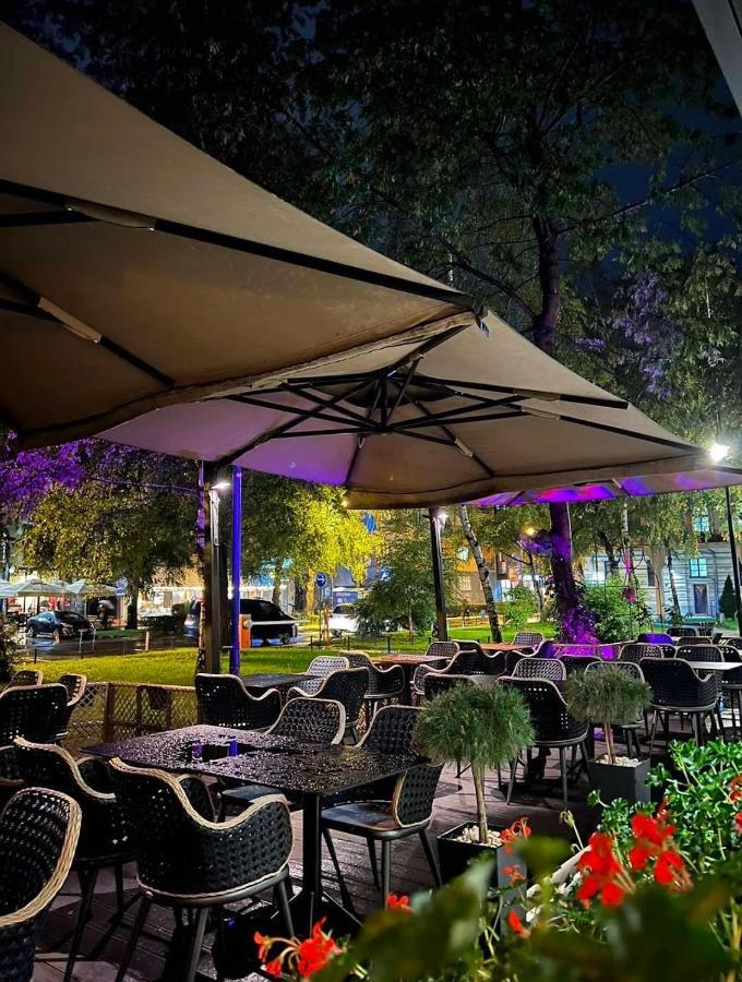 Blue And Rose Cozy - Quiet In The Best Location - Self Check-In - 5Th Floor With Elevator Sarajevo Bagian luar foto